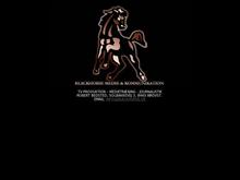 Blackhorse Medie & Kommunikation V / Robert Bedsted
